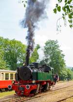 
Bevor sie wieder den Zug nach Oberzissen anhängen kann, geht es erst zum Wasserfassen und zur Bekohlung....
Die BBn4vt 1000 mm Malletdampflok 11sm (sm = schwere Mallet) der Brohltalbahn ragiert am 24.05.2015 im Bahnhof Bohl-Lützing/Rhein (BE).   

Die Lok 11sm wurde 1906 von Humboldt in Köln-Kalk unter der Fabriknummer 348 gebaut, und von da an zusammen mit ihren Schwestern 10 sm und 12 sm bis 1965 auf der Brohltalbahn eingesetzt. Die letzte Fahrt der Lokomotive fand am 29.Januar 1966 vor einen bestellten Sonderzug für Eisenbahnfreunde statt. Am 25. April 2015 wurde die Wiederinbetriebnahme gefeiert und am  1.Mai 2015 verkehrte der erste planmäßige Zug mit Lok 11sm.