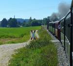 Öchsle-Museumseisenbahn, Blick aus dem fahrenden Zug auf den Endhaltepunkt Ochsenhausen mit der berühmten Abtei im Hintergrund, Aug.2012