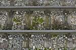 Schienen und Schwellen der Öchsle Bahn an einem Feldwegbahnübergang bei Wennedach (25.09.2022)