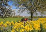 Am Osterwochenende kam die IK Nr.54 wieder einmal bei der Döllnitzbahn zum Einsatz und pendelte mehrmals täglich zwischen Mügeln und Glossen. Hier verläßt sie am Nachmittag des 20.04.2014 das Stadtgebiet von Mügeln und durchfährt, die schon vor vielen Jahren versprochenen, blühenden Landschaften.