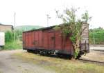 Der Gterwagen mit dem Baum im Rahmen steht noch wie 2002 am selben Ort, nur der Schuppen daneben ist abgerissen worden, 01.06.08