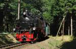 99 772 mit dem SDG 1003 bei Kretscham Rothensehma (24.08.2009)