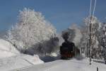 99 771 hat am 13.01.2010 das Ortsgebiet von Hammer-Unterwiesenthal erreicht.