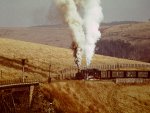 Zwei Loks der BR 99 bei der Einfahrt in den Bahnhof Oberwiesenthal am 7.10.1979 mit Volldampf gescanntes Dia