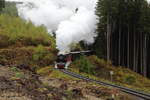 99 6001 erreicht mit ihrem IG HSB-Sonderzug zum Brocken, bei einer Scheinanfahrt am Mittag des 21.10.2016, gerade die bei einem schweren Sturm im Februar des Jahres entstandene, große