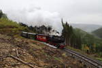 99 6001 passiert am 21.10.2016 mit ihrem IG HSB-Sonderzug zum Brocken die Windbruchstelle am Drängetal.