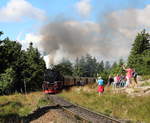 99 236 schnauft mit dem P8925 (Wernigerode - Brocken) den Brocken hinauf und wird gleich die Brockenstraße kreuzen.