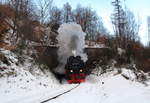 Winterdampf auf der Harzquerbahn.