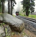 Wenn man so mit dem Traditionszug unterwegs ist, sind die Motive rar.