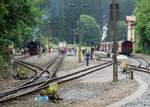 Eine viertel Stunde später war es mit der Ruhe in Eisfelder Talmühle vorbei, die Planzüge(Triebwagen nach Nordhausen und der Dampfzug Wernigerode-Eisfelder Talmühle und