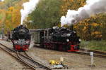 Zugverbindung im Bahnhof Alexisbad am 23.10.2016.