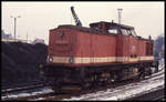 Harzkamel 199870 am 19.2.1994 im BW Wernigerode.