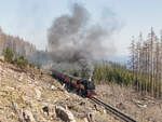 Der 99 7247-2 mit dem Planzug zwischen Bahnhöfe Schierke und Brocken am 17. April 2019.