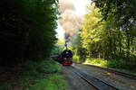 Ausfahrt von 99 234 mit P8931 (Wernigerode-Brocken) am 31.08.2019 aus dem Haltepunkt  Steinerne Renne .