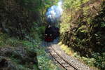 Durchfahrt von 99 7243 mit P8920 (Nordhausen-Brocken) am 31.08.2019 durch den Felseinschnitt zwischen  Tiefenbachmühle  und  Sophienhof . (Bild 1)