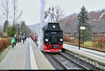 99 7236-5 (99 236) der Harzer Schmalspurbahnen GmbH (HSB) als P 8930 vom Brocken nach Wernigerode Hbf steht im Bahnhof Wernigerode-Hasserode auf der Harzquerbahn (Bahnstrecke Nordhausen