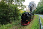 99 7240 hat mit P 8964 (Eisfelder Talmühle - Quedlinburg) gerade den Bahnhof Mägdesprung verlassen, überquert jetzt wieder die B 185 und nimmt nun mit wuchtigen Auspuffschlägen und