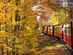 Irgendwo zwischen Wernigerode und Drei Annen Hohne entstand dieses Herbstbild aus dem P 8925 mit Blick auf die Lok, hinauf zum Brocken.