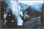 99 247 macht Dampf vor der Weiterfahrt in Eisfelder Talmhle Richtung Selketal. (Archiv 12/94)