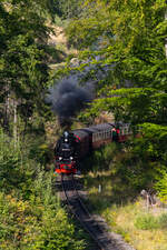 99 7237-3 durchfährt die Landschaft auf dem Weg von Wernigerode nach Drei Annen Hohne kurz vor dem Nordportal des Drängetaltunnels.
