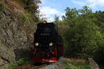 Einer der letzten Dampfzüge im Selketal an der Felswand bei Drahtzug, 99 7232 befindet sich hier auf dem Weg von Quedlinburg über Gernrode nach Alexisbad am 31.8.26