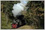 99 5902 am 10.10.2007 mit dem Traditionszug, aufgenommen in Drei Annen.