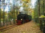 99 6101 mit Sonderzug am 18.10.08 der IG-HSB bei der Einfahrt in den Bahnhof Alexisbad