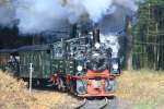 99 5901 und 99 5902 mit dem Traditionszug auf dem Weg zum Brocken kurz vor dem Bahnbergang bei Drei Annen; 08.11.2008