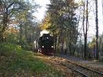 99 7239 in Wernigerode