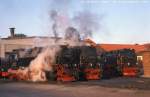 Feierabend!  Allabendlich werden im Bw Wernigerode die Dampfer der HSB zur Nachtabstellung an der Drehscheibe aufgestellt, so auch am 6.8.03.