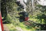 Kurz vor der Ausweichstelle (Stichstrecke in den Wald) auf der Bergstrecke Richtung Brocken /Harz