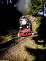 Zug Nummer 8902 von Wernigerode kommend am 16.10.2005   mit Zuglok 99 7232 bei der Ausfahrt aus dem Tunnel bei   Steinerne Renne.