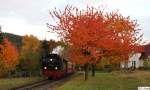 99 6001-4 verlsst mit Personenzug 8954 Alexisbad - Quedlinburg im letzten Tageslicht die Harzberge und rollt Richtung Bahnhof Gernrode, Selketalbahn (1.000mm Spurweite), fotografiert bei der Einfahrt