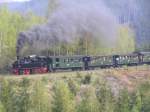 Nostalgie-Sonderzug der Harzer Schmalspurbahnen am Bahnparrallelweg kurz hinter der Steinernen Renne bei Wernigerode! Der Sonderzug fhrt auf Anfragen von Wernigerode zum Brocken!