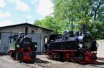 Die Mallet-Maschinen 99 5901-5905 im Bahnbetriebswerk Wernigerode Westerntor (09.06.2012)