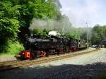 Mallet-Gast-Lok 105 und 99 6101 zogen am 18.08.2012 den Sonderzug mit der Nummer 89423 von Gernrode (Harz) nach Alexisbad, als ich sie bei der Ausfahrt aus dem Bahnhof Mgdesprung  verhaften  konnte.