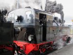 Gastlok 105 (Mallet-Lok) und 995906-5 vor Sonderzug 89601 in Quedlinburg, um 09:30 am 11.08.2012.