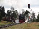 99 236 ist am 13.10.2012 auf dem Weg zum Brocken. Hier kreuzt sie den talwrts fahrenden Zug am Betriebshaltepunkt Goetheweg.