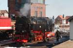 Bereitmachen der Dampfmaschine 99.236 in Wernigerode fr den ersten Zug auf den Brocken (04.03.2013)