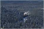 Stetig bergauf, zieht 99 236 den Zug 8925 von Drei Annen Hohne auf den Brocken, hier in den Wldern des Nationalparks Harz.