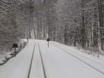 Die Harzequer- und die Selketalbahn verlaufen hinter dem Bahnhof Eisfelder Talmhle ein kurzes Stck gemeinsam; 29.03.2013