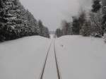 Die Harzquerbahn am 29.03.2013 zwischen Benneckenstein und Sophienhof.