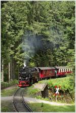 In der Steigung auf den Brocken.