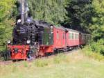 99 6101 auf der Strecke nach Silberhtte  kurz vor Mgdesprung am 31. August 2013.