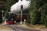 Mit leisem Rumpeln und Quietschen taucht am Nachmittag des 18.10.2013 99 7237, mit P8929 vom Brocken kommend und mit Fahrziel Nordhausen, zwischen den Bumen des Harzwaldes auf, um gleich darauf in den Bahnhof Schierke einzufahren.