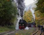 Nach einem kurzen Zwischenstopp im Haltepunkt  Steinerne Renne , muß 99 7235 am 19.10.2013 ihren Planzug P8931 zum Brocken an der starken Steigung wieder in Fahrt bringen. Dieses optische und akustische Highlight will sich, wie man hier sieht, natürlich kein Fotograf entgehen lassen! ;-) Rechts wartet indessen 99 6101 mit einem Sonderzug der IG HSB auf die Weiterfahrt.