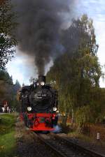 99 6101 mit Sonderzug der IG HSB am 19.10.2013 bei einer Scheinanfahrt aus dem Haltepunkt Sorge.