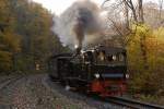 Am 19.10.2013 hat 99 6101 mit einem Sonderzug der IG HSB gerade den Bahnhof  Eisfelder Talmühle  für die Rückfahrt nach Wernigerode verlassen und passiert mit Volldampf gerade die Gleisgabelung von Selketal- und Harzquerbahn. Kurz nach der Vorbeifahrt an der Fotostelle, wird der Zug anhalten, um die Fotografen, welche hier kurz zuvor eine Doppelausfahrt des Foto-Güterzuges der HSB mit Plan-Personenzug P8904 festhalten konnten, wieder aufzunehmen.

(Anmerkung zum Aufnahmestandort: Der Standort befindet sich an der Waldzunge genau zwischen der Gleisgabelung von Selketal- und Harzquerbahn, kurz hinter dem Bahnhof  Eisfelder Talmühle . Die Doppelausfahrt war speziell zu einem Fototermin für die Fahrgäste eines Sonderzuges der IG HSB organisiert (geplanter Bestandteil der Sonderfahrt), der Standort vorher genau festgelegt, von der Betriebsleitung der HSB genehmigt und durch Mitarbeiter der IG HSB überwacht und abgesichert worden, welche mit Argusaugen und Warnweste sowie  Meckertüte  (Megafon) bewaffnet, genauestens darauf achteten, dass keines ihrer  Schäfchen , und das waren immerhin 30-40, verlorenging oder sich gar in Gefahr brachte. Ich versichere, dass die Aufnahme somit absolut legal und keinesfalls eigenmächtig entstand!)