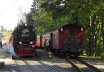 HSB 99 7245-6 mit der HSB 8920 von Nordhausen Nord zum Brocken, am 17.09.2014 in Drei Annen Hohne.