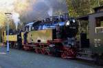 99 5906 und 99 6001 vor einem langen Sonder-PmG der IG HSB am 19.10.2014, abfahrbereit in Richtung Gernrode, im Bahnhof Alexisbad. Die beiden Maschinen waren heute im Rahmen einer dreitägigen Sonderzugveranstaltung mit zwei separaten PmG`s unterwegs, welche im hiesigen Bahnhof für die gemeinsame Rückfahrt vereinigt wurden. Da ich davon leider keine Aufnahme habe, sei es mir gestattet, in diesem Zusammenhang von einem kleinen Zwischenfall zu berichten, welcher sich auf der Fahrt nach Gernrode ereignet hat: Zwischen Drahtzug und Mägdesprung kam der Zug, vermutlich vor einem Signal, an einer Steigung zum Stehen. Beim Versuch wieder anzufahren, kamen die beiden kleinen Maschinen mit ihrem schweren 13-Wagen-Zug (allein die beiden, mit zahlreichen Baumstämmen beladenen Wagen am Schluß desselben, stellten ein nicht unerhebliches Gewicht dar!), wohl deutlich an ihre Leistungsgrenze! Trotz aller Bemühungen, bewegte sich der Zug keinen Zentimeter! Die Loks kamen immer wieder ins Schleudern und da die Kessel aufgrund des Zuggewichts auf Höchstdruck gehalten wurden, kam es beim Schließen der Regler immer wieder mit explosonsartigem Zischen zum Ansprechen der Sicherheitsventile, dessen Echo aus dem umliegenden dichten Wald vielfach widergegeben wurde. Nur mit viel Gefühl an den Reglern, gelang es ganz allmählich, den Zug wieder in Fahrt zu bringen. Leider konnte ich dies nicht von draußen als Film festhalten, das wäre mit Sicherheit ein kleinbahnromantisches Highlight geworden!! :-)